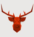 Deer Head