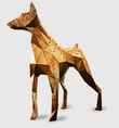 Doberman Gold