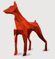 Doberman Kırmızı