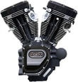 engine-motor-t124lclb-blk-07-16-08-46d.jpg
