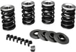 JIMS 600 LIFT SPRNG KIT EVO BT KOD:DS199523