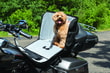 KURYAKYN BAG PET PALACE TITAN - BLACK - KOD:KUR5723