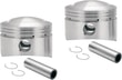 pistons-piston-3.625hc-shvl-a2-039.jpg