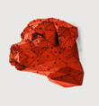 Rot Head