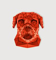 Rot Head Kırmızı
