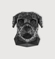 Rot Head Siyah