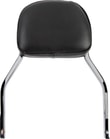 sissy-bar-mini-dyna-06-17--aa6d-.jpg
