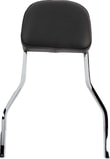 sissy-bar-shrt-dyna-06-17-5f04e3.jpg