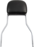 sissy-bar-sq-shrt-flstcn-0ca682.jpg