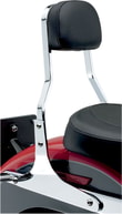 sissy-bar-sq-shrt-flstcn-8658e1.jpg