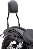 sissy-bar-std-blk-sftail-1d-476.jpg