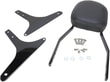 sissy-bar-std-blk-sftail-2-b831.jpg