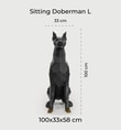 Sitting Doberman