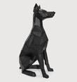 Sitting Doberman