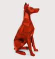 Sitting Doberman