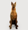 Sitting Doberman