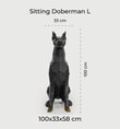 Sitting Doberman