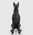 Sitting Doberman