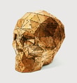 Skull Gold