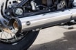 S&S MUFFLER  -SUSTURUCU S  -SUSTURUCULAR - GRAND NATIONAL - SO KOD: 18011846