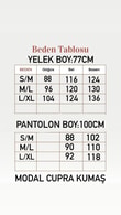 Kayra Pantolonu Çımalı Sahte Cepli Düğmeli Yelekli Takım-EU3321 Lacivert