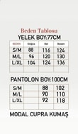 Kayra Pantolonu Çımalı Sahte Cepli Düğmeli Yelekli Takım-EU3321 Mürdüm