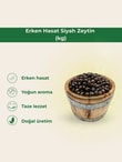 Erken Hasat Siyah ZeytinMemleket Gurmesi
