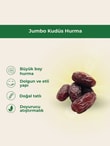 Jumbo Kudüs HurmaMemleket Gurmesi