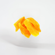 Mango Kurusu DilimliMemleket Gurmesi