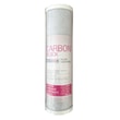 10'' CTO BLOK KARBON FİLTRE