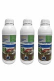 Biowave Foseptik Tanklar Koku ve Atık Giderici - 3 LT