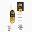 Purefer Açık Su Arıtma Filtresi Pentair Membranlı B12 Filtreli