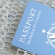 Mavi Renk Pasaport Davetiye