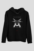 Alice in Chains Siyah Unisex Hoodie