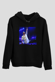 Armin Van Buuren Siyah Unisex Kapüşonlu Sweatshirt