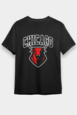 Chicago Bulls Siyah Unisex Tişört T-Shirt - TişörtFabrikası