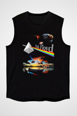 Pink Floyd Siyah Unisex Kolsuz Tişört