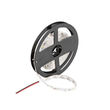 Cata CT-4481 10 Çip İç Mekan Şerit Led Günışığı 5 Metre