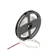 Cata CT-4484 10 Çip İç Mekan Şerit Led Mavi 5 Metre