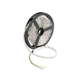 Cata CT-4485 10 Çip İç Mekan Şerit Led Amber 5 Metre