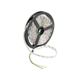 Cata CT-4545 3 Çip İç Mekan Şerit Led RGB 5 Metre