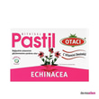 PastillerOtacıOtacı Ekinezyalı 16 Pastil