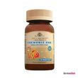 Omega 3 & Balık YağlarıSolgarSolgar Lit'l Squirts Chewable DHA 90 Tablet