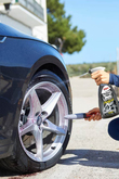 Sonax Jant Canavarı 1 lt