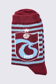 SOKET ERKEK ÇORAP BORDO MAVİ ÇİZGİLİ