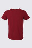 tshirt-bisiklet-yaka-basic--ee88b.jpg