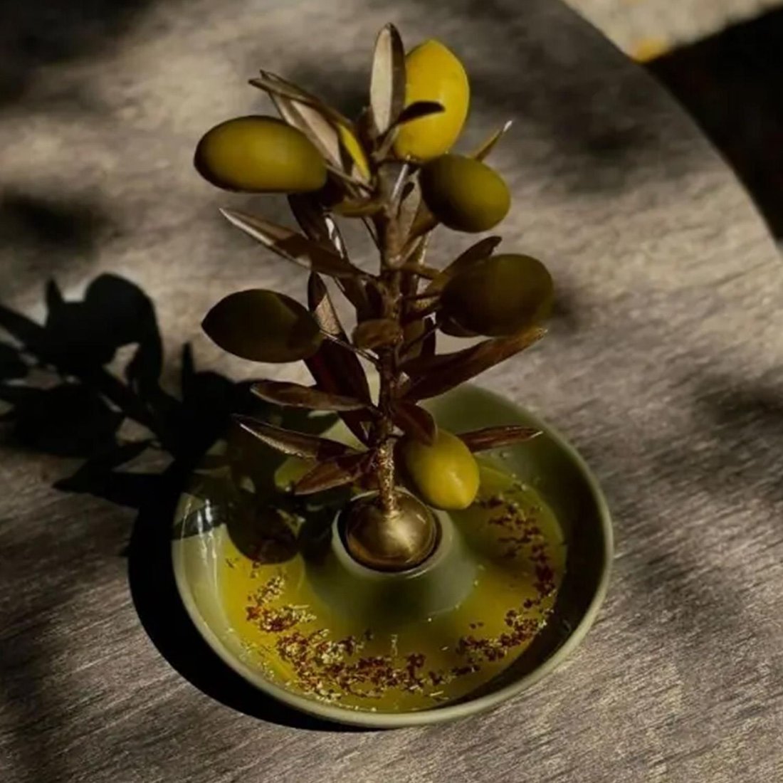Atelier Terra Madre - ELAIS Zeytin & Zeytinyağı Sunumu