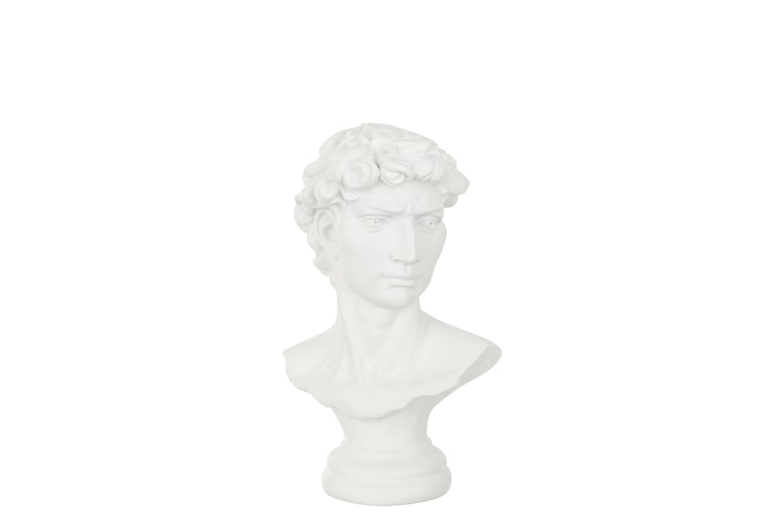 JOLIPA - Jolipa Bust David Poly White