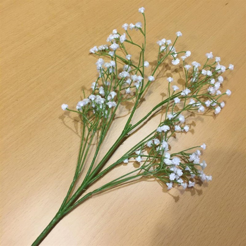 MON JARDİN - MON JARDİN CİPSO