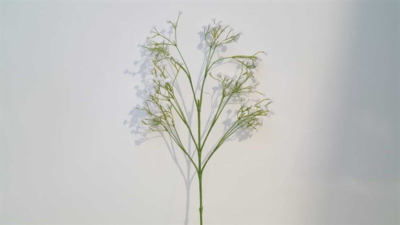 MON JARDİN - MON JARDİN CİPSO